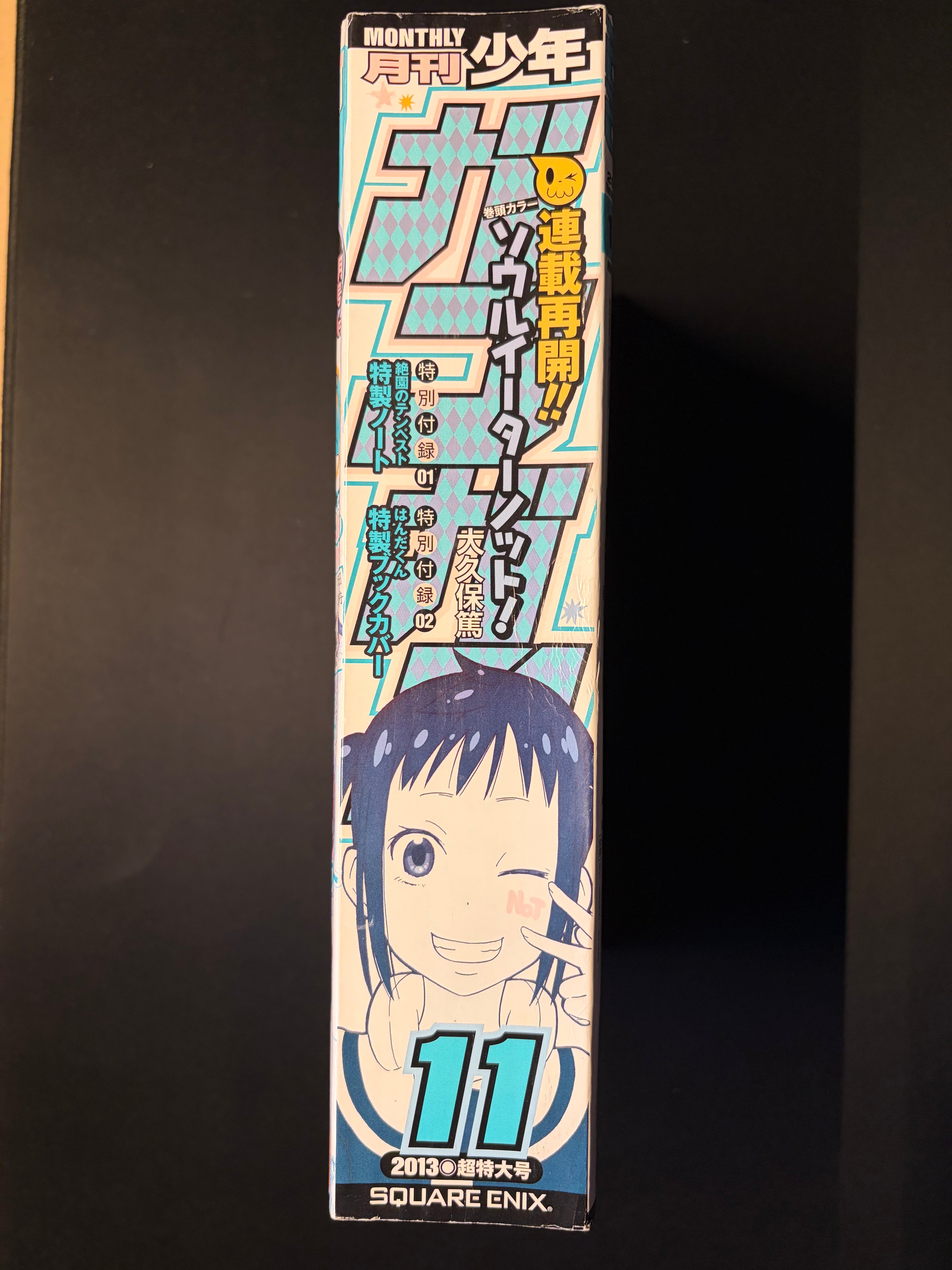 Monthly Shonen Gangan n°11 2013