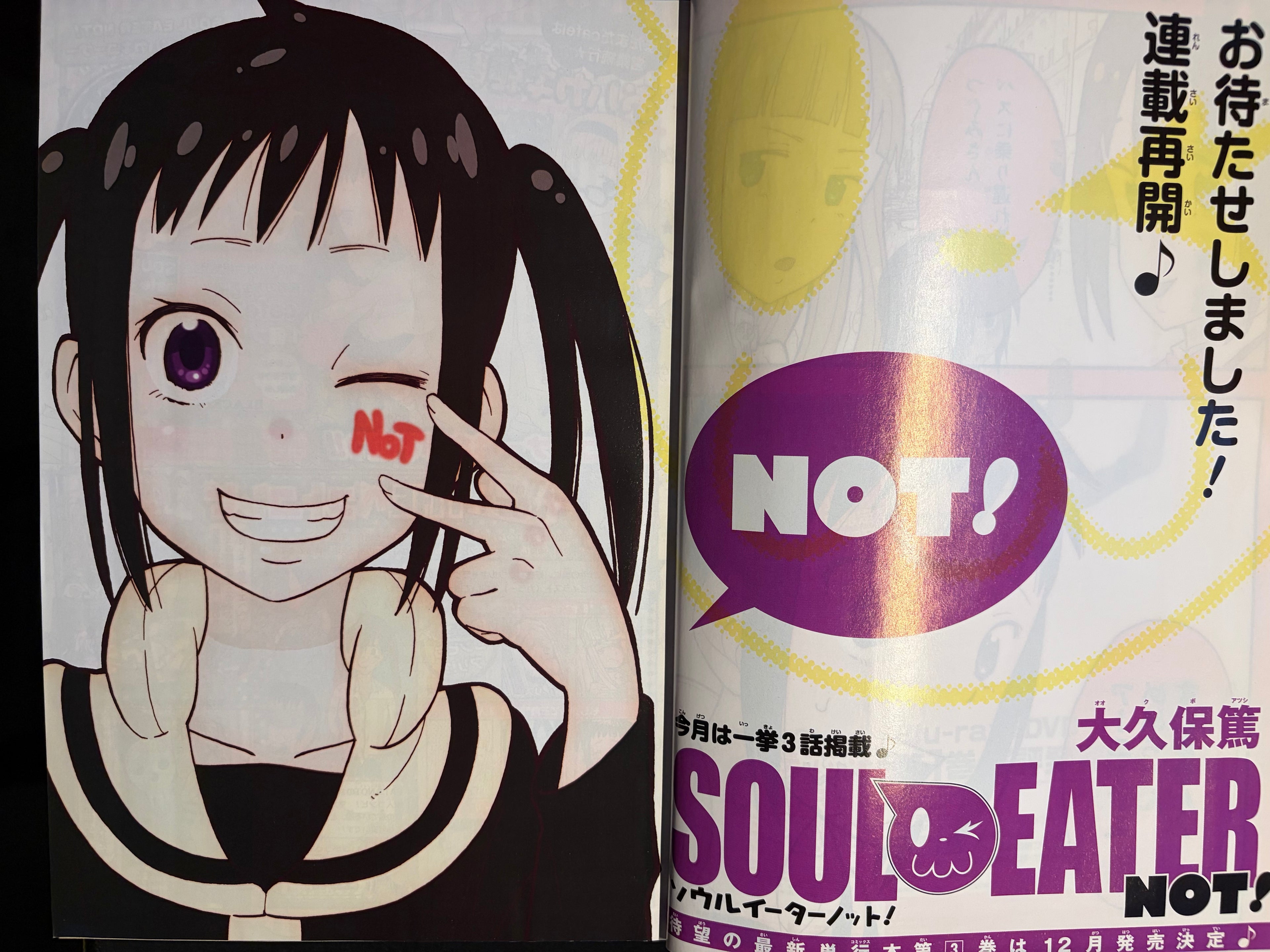 Monthly Shonen Gangan n°11 2013